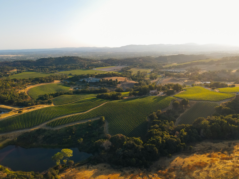 Chalk Hill Estate Winery Sonoma County Winery