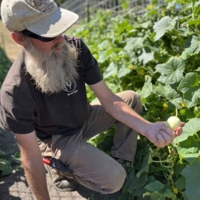 Brad garden with lemon cucumber