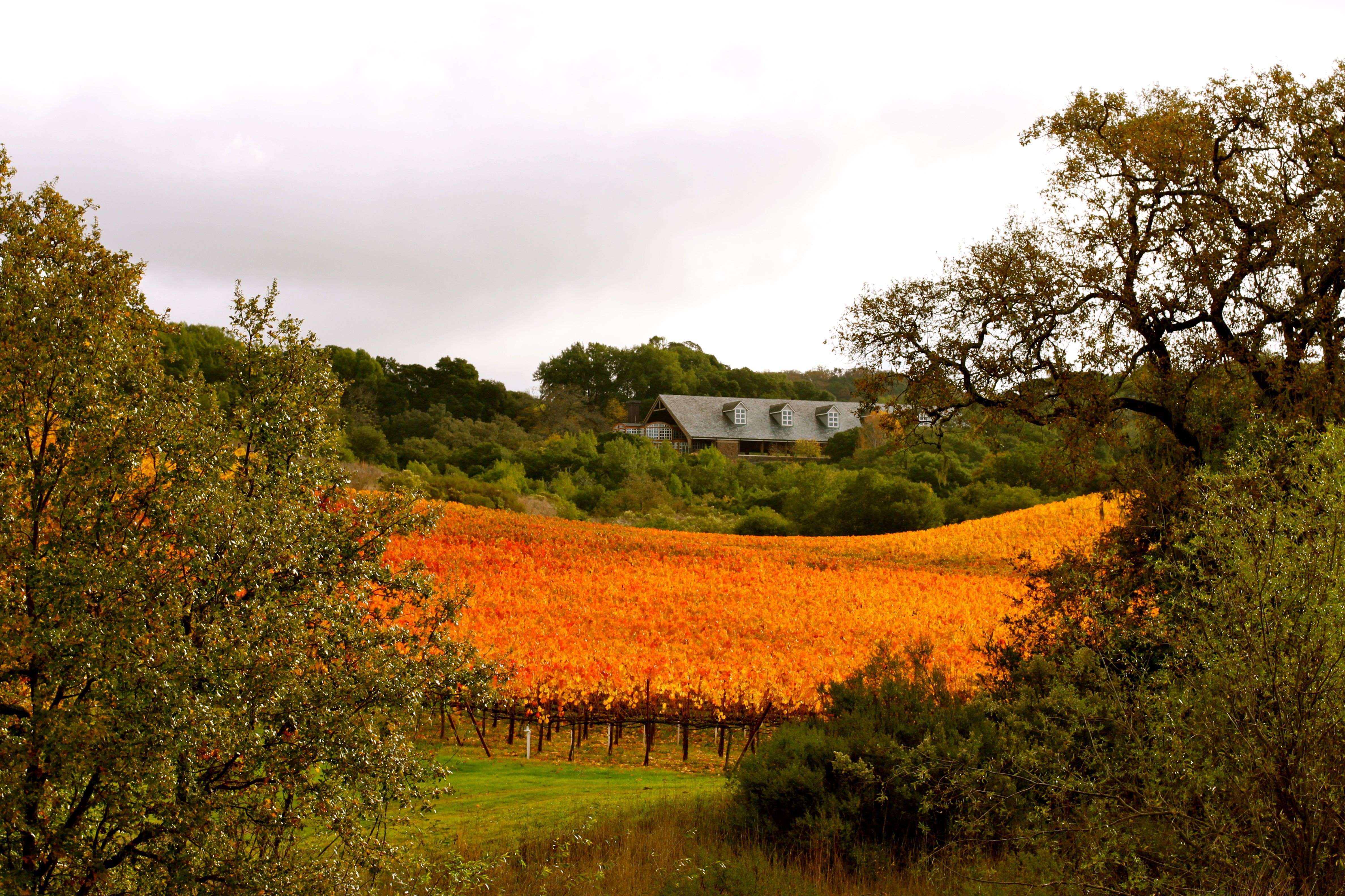 Chalk Hill Fall Image from BL